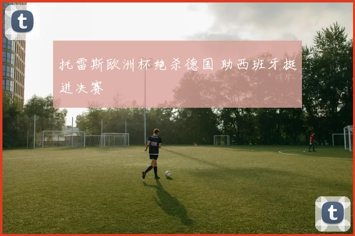 托雷斯欧洲杯绝杀德国 助西班牙挺进决赛
