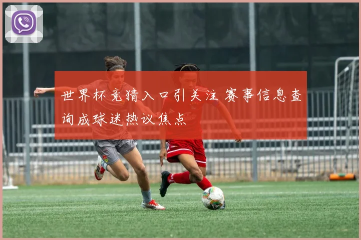 世界杯竞猜入口引关注 赛事信息查询成球迷热议焦点
